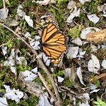 Photo taken by Barbara V