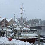 Photo taken by Jason W