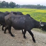 Photo taken by Cayden S