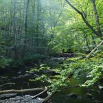 Photo taken by Eric T