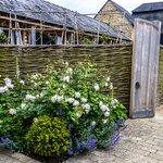 Photo taken by Jean M