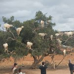 null | Photo taken by Wayne P