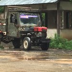 Wanted to take this one home!  | Photo taken by Rachael W