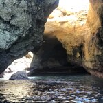 Photo taken by Russ K