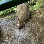 Photo taken by Graciela P