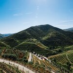 Photo taken by Kassie R