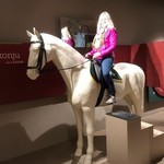 Lippazzaner Museum | Photo taken by Jerold K