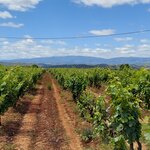 Photo taken by Mike T