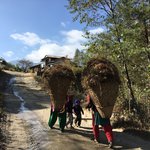 Photo taken by Ailson S