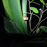 Photo taken by Bryan D