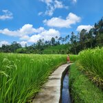 Photo taken by Rebekah U