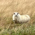 Photo taken by Janet M