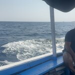 Photo taken by Dixie W