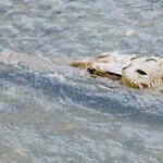 Photo taken by Brett F