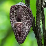 Photo taken by Ashwal P