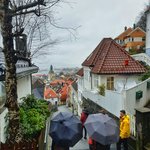 Photo taken by Lauren D