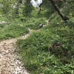 Photo taken by Kelly W