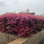 Photo taken by Kirti P