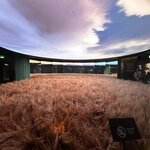 Photo taken by Ellen D