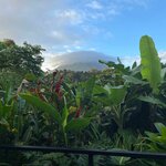 Photo taken by Matt P