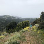 Photo taken by Shawn G