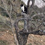 Photo taken by Don W