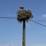 Photo taken by Julie A