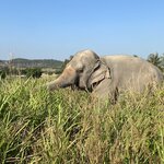 Photo taken by sarah p