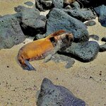 Photo taken by Katherine A