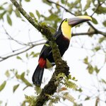 Photo taken by Susan D