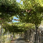 Photo taken by Shelley H