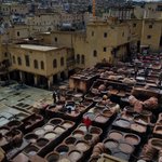 Photo taken by Lisa R