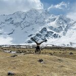 Photo taken by Willow K