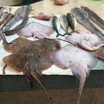 Photo taken by Cynthia T