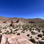 Photo taken by Shirley S