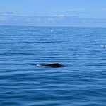 Photo taken by Adam K