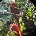 Photo taken by Mark A