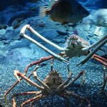 Photo taken by Jason P