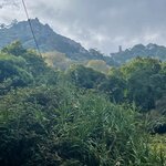 Photo taken by Karen C