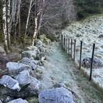 Photo taken by Linda D