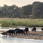 Photo taken by rhonda c