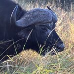 Photo taken by rhonda c