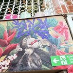 Photo taken by Patricia O