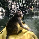 Photo taken by Shaula L