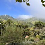 Photo taken by Michael M