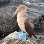 Photo taken by Thomas L