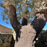 Photo taken by Cynthia W