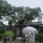 Photo taken by Lisa W