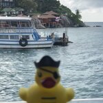 Photo taken by Wallace W