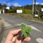 Photo taken by Tiphanny C